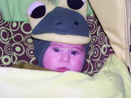 Carnaval de Mula 2011